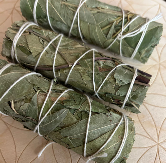 Eucalyptus Smudge Stick